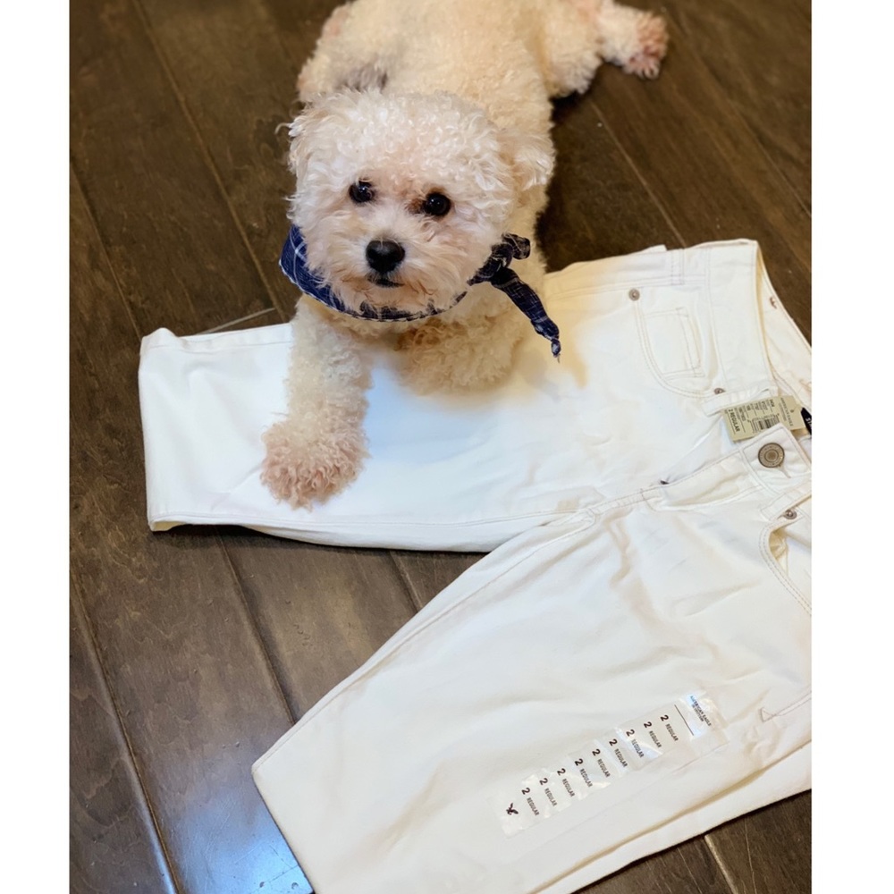 NWT: American Eagle Skinny Jeans